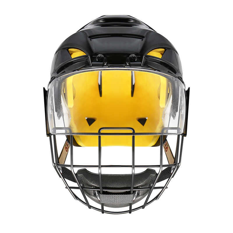 ice hockey helmet
